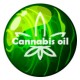 Cannabis Oil - лечение на проблеми със слуха